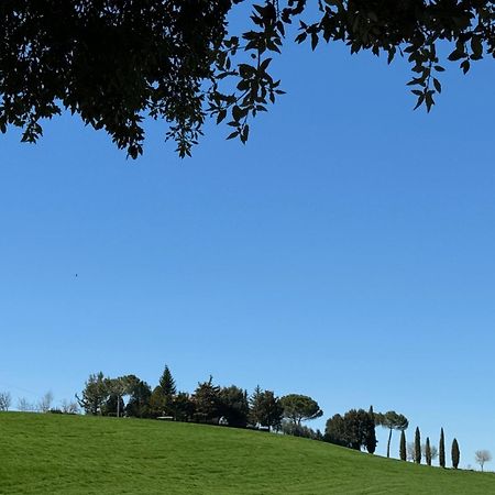 Orvieto Country House Castiglione In Teverina Exterior photo
