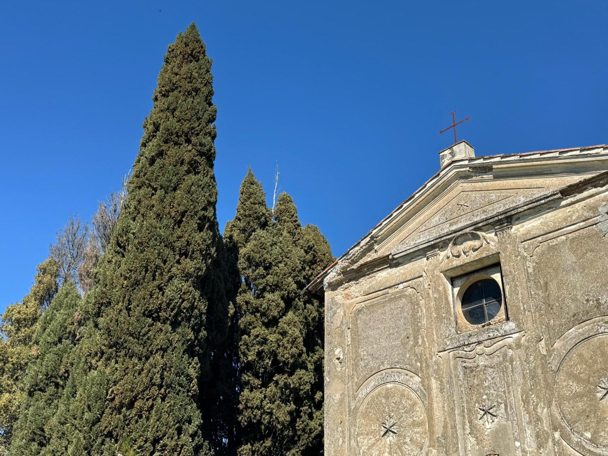 Orvieto Country House Castiglione In Teverina Exterior photo